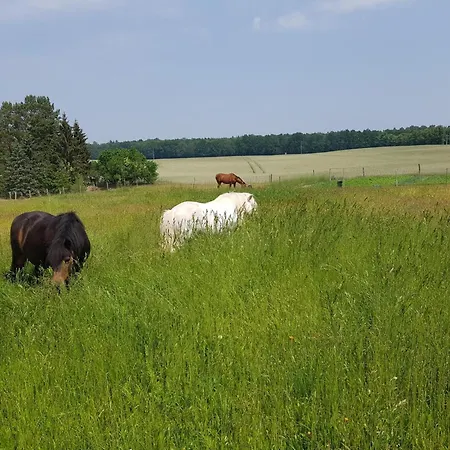 Apartment Fuer Monteure Templin