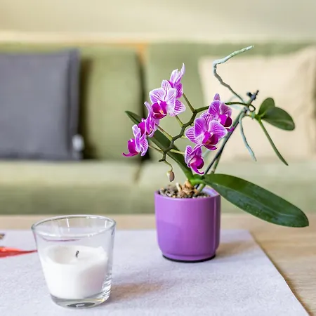 Fuer Monteure Templin