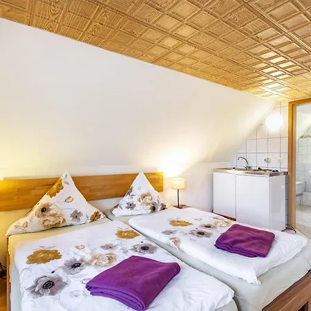 Apartment Fuer Monteure